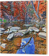 Serpentine Gorge Central Australia #11 Wood Print
