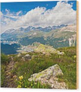 Swiss Mountains #10 Wood Print