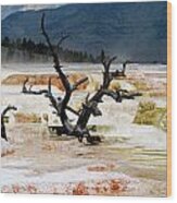 Yellowstone #10 Wood Print