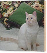 Flame Point Siamese Cat #11 Wood Print