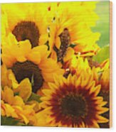 Sunflowers #11 Wood Print