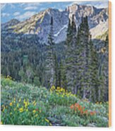 Wasatch Mountains Of Utah #11 Wood Print