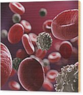 Blood Cells #12 Wood Print