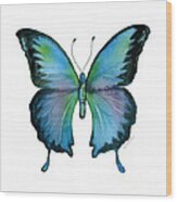 12 Blue Emperor Butterfly Wood Print