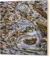 Holy Waters Of Sedona Az By Joanne Bartone #5 Wood Print