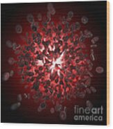 Red Blood Cells #45 Wood Print