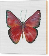 16 Mesene Rubella Butterfly Wood Print