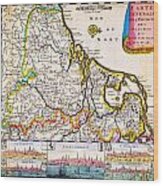 1710 De La Feuille Map Of The Netherlands Belgium And Luxembourg Geographicus 17provinces Laveuille Wood Print