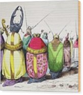 1842 Caricature Coloured Church Beetles Wood Print