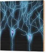 Nerve Cells #19 Wood Print