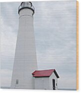 1st Lake Huron Lighthouse Wood Print