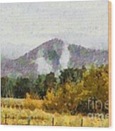 Araluen Valley Views #2 Wood Print