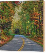 Autumn Drive #2 Wood Print