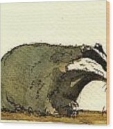 Badger #2 Wood Print