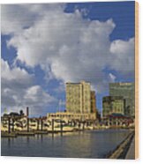 Baltimore Inner Harbor Skyline Marina #2 Wood Print
