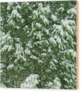 Beautiful Winter Tree #2 Wood Print