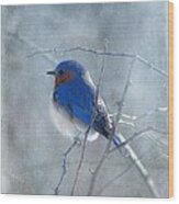 Blue Bird Wood Print