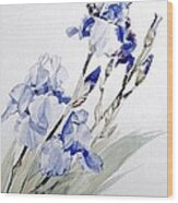 Blue Irises Wood Print