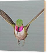 Broadtail Hummingbird Visualized #2 Wood Print