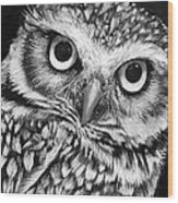 Burrowing Owl Wood Print