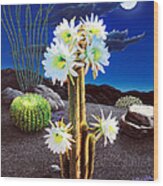 Cactus Blooms #1 Wood Print