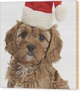 Cavapoo Puppy In Christmas Hat #2 Wood Print