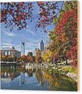 Charlotte North Carolina Marshall Park #2 Wood Print