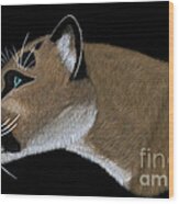 Cougar Portrait #1 Wood Print