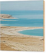 Dead Sea #2 Wood Print