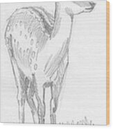 Deer Drawing  #3 Wood Print