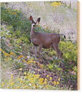 Deer In Wildflowers #1 Wood Print