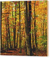 Delicious Autumn #2 Wood Print