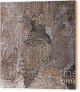 Dolls Theater Carlsbad Caverns National Park #2 Wood Print