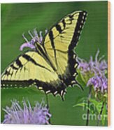 Eastern Tiger Swallowtail #2 Wood Print