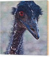 Emu #2 Wood Print