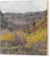 Fall At Mt. Timpanogos - Utah #2 Wood Print