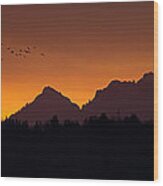 Flight To Saddle Mountain #2 Wood Print