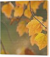 Golden Fall Leaves #2 Wood Print