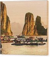 Halong Bay - Vietnam #2 Wood Print