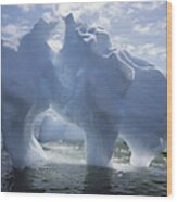 Icebergs, Antarctica #2 Wood Print