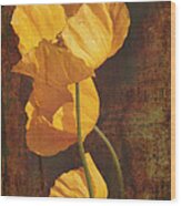 Icelandic Poppy Wood Print