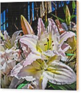 Lilies Out Of The Shadows Wood Print