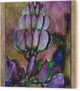 Lupin Blossom Wood Print