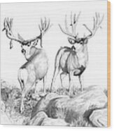 2 Muley Bucks Wood Print