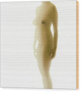 Naked Woman #2 Wood Print