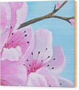 #2 Of Diptych Peach Tree In Bloom #2 Wood Print