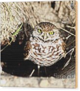 Owl Wood Print