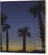 Palmetto Sunset #1 Wood Print