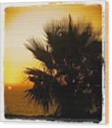 #palmtree #beautiful #love #sky #tree #2 Wood Print