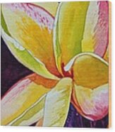 Plumeria #2 Wood Print